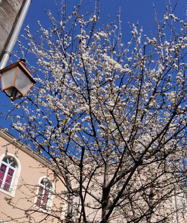 5 Chambres En Ville Clermont-Ferrand Esterno foto